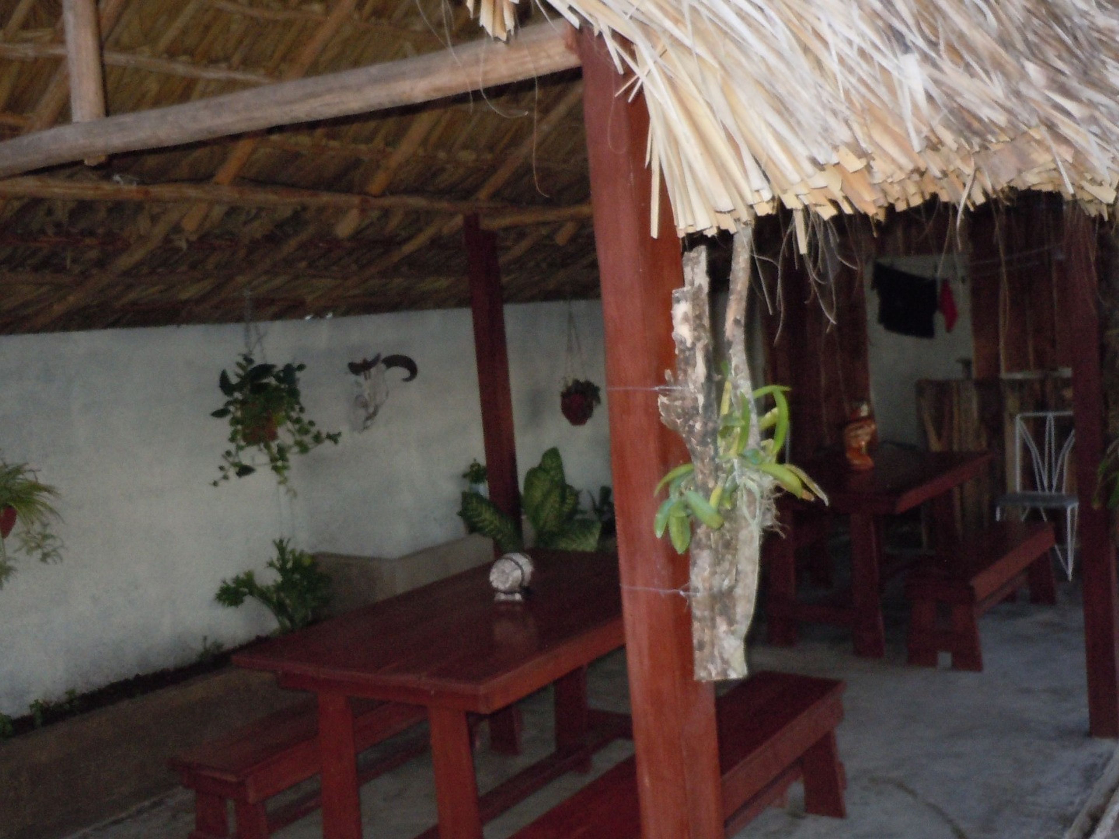 Hostal El Castillito, PLAYA GIRONHouse's ranchon view