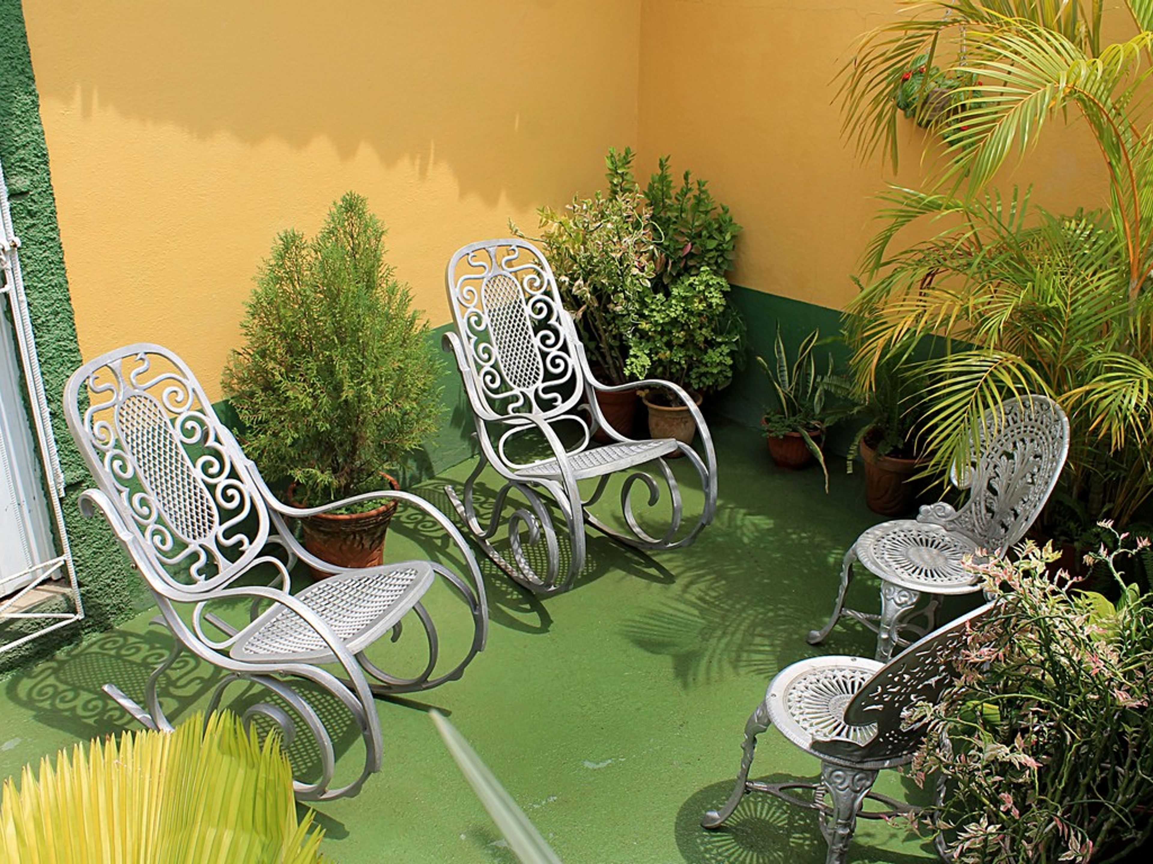 Hostal Tatiana, SAN PROSCOPIO, No. 62 - Terrace´s details