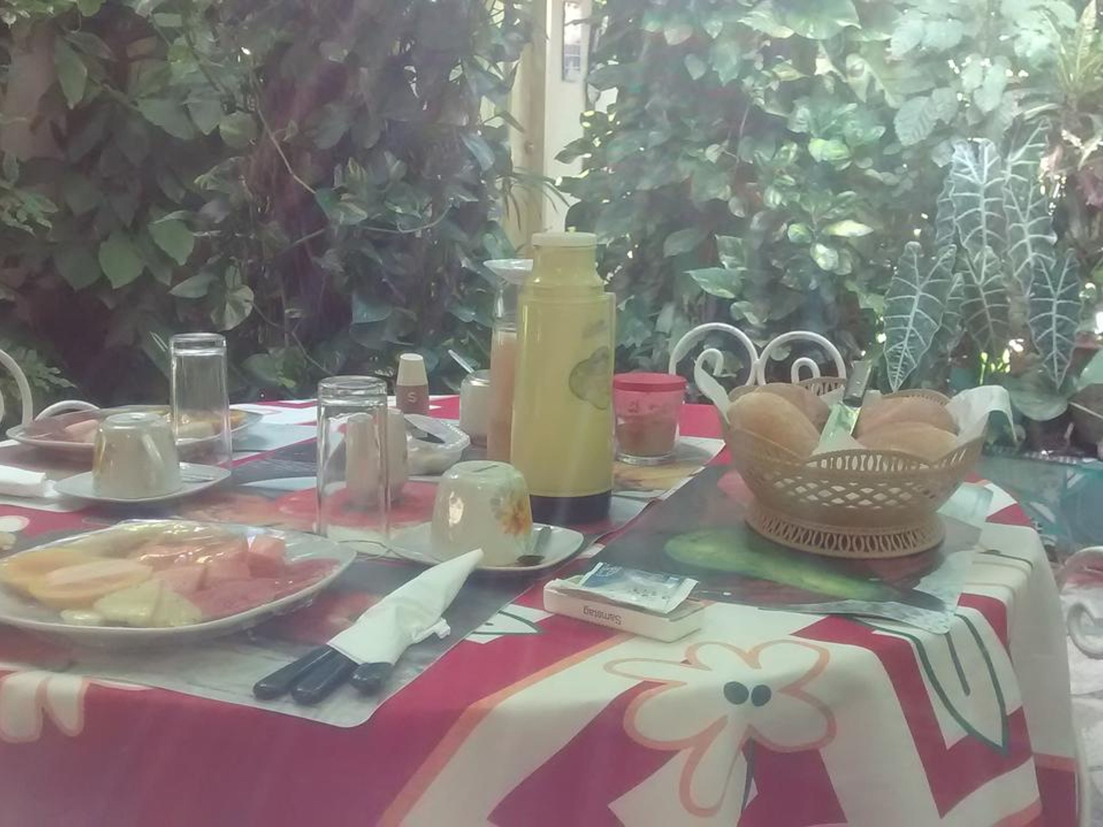 Casa Colonial 1830 - Socaboladeres, SAN PEDRO, No. 367 - Breakfast services at the house
