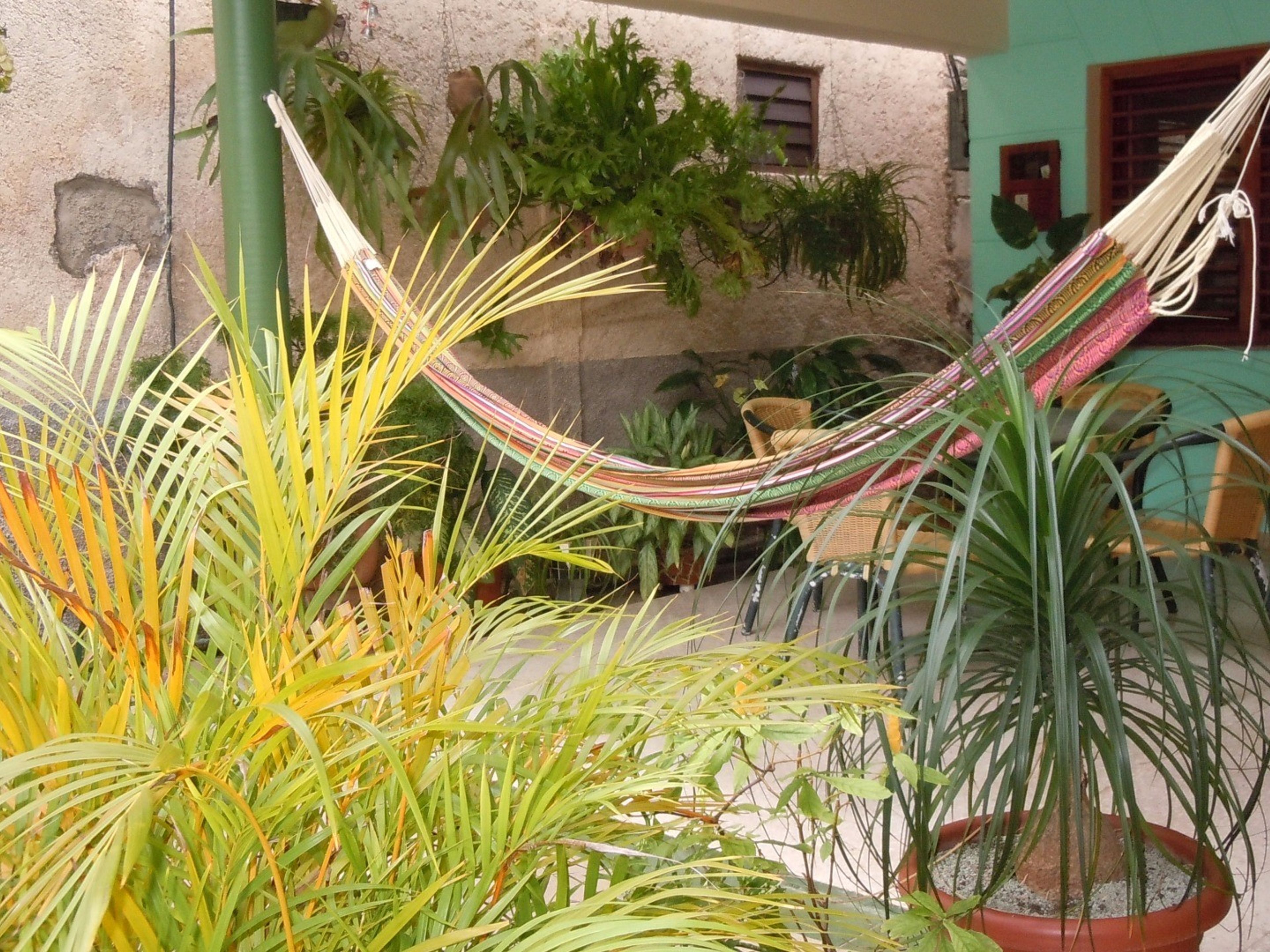 Hostal Anabel & Guille, AVENIDA 2da, No. 4604Inside patio view