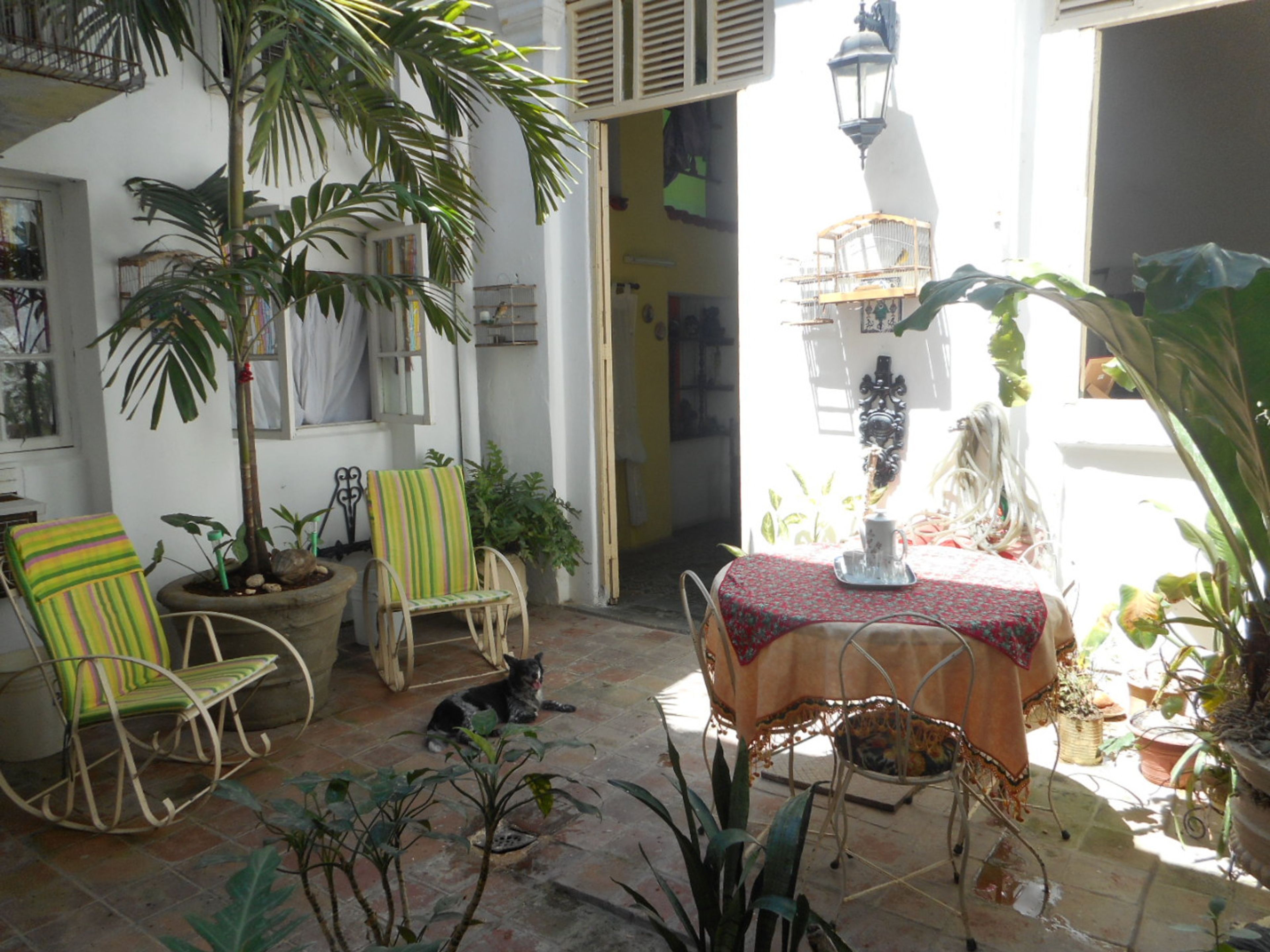 Villa Botana, ACOSTA, No. 110House's indoor patio-garden view