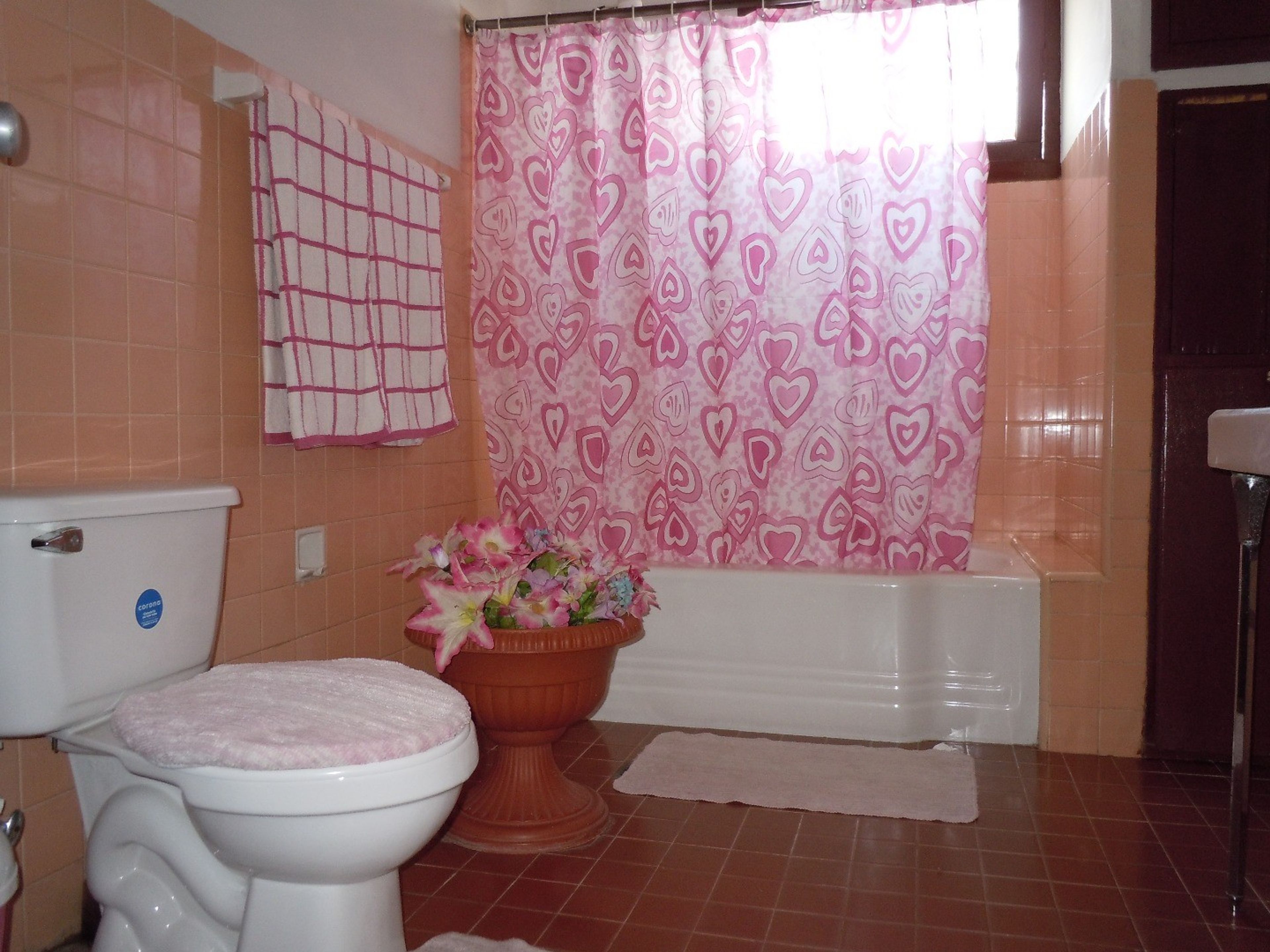 Hostal Carmencita, IGNACIO AGRAMONTE, No. 259 - Bathroom view