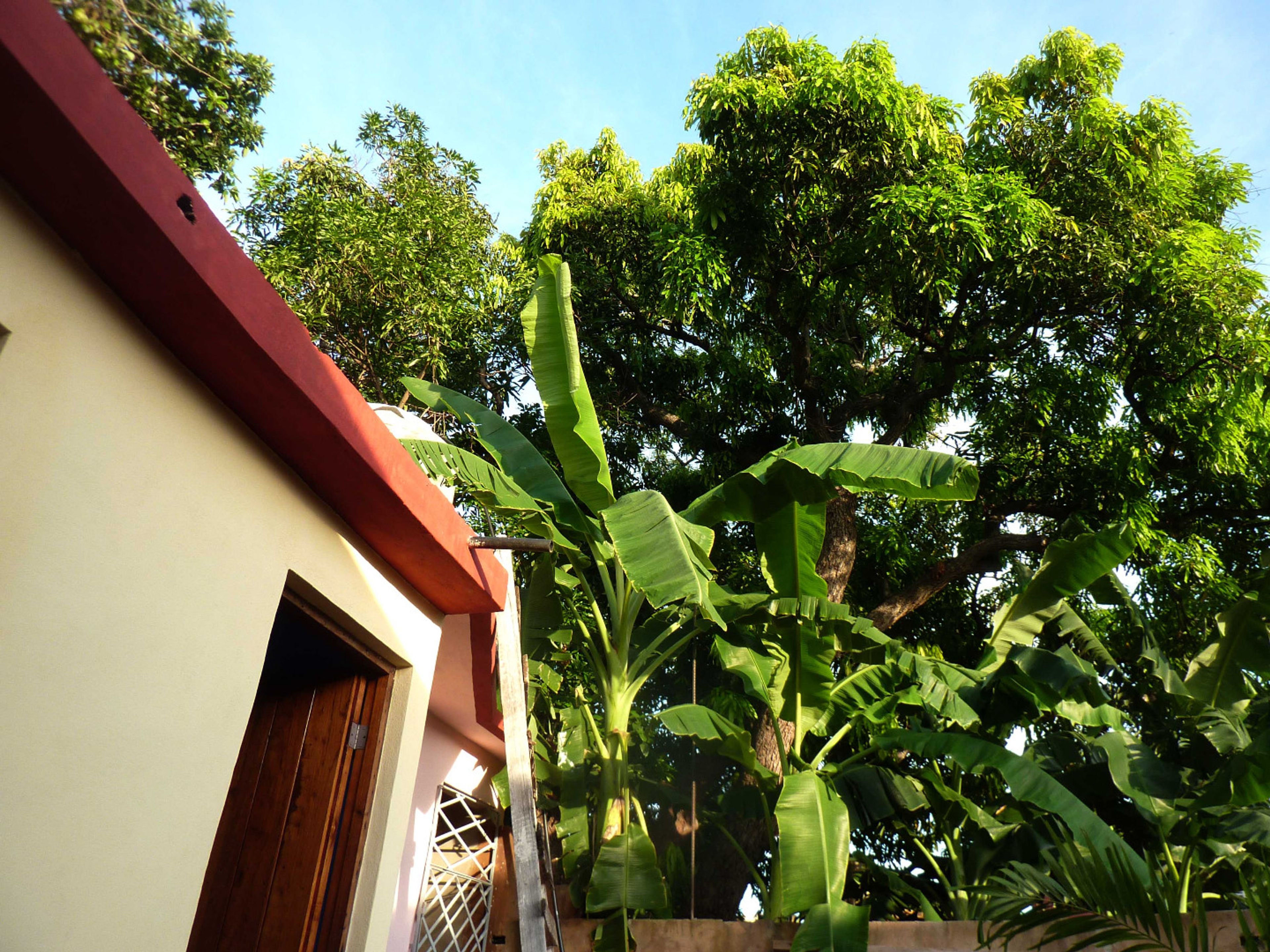 Hostal Lucía, FRANK PAÍS (Del Carmen), No. 468-A - House's garden view