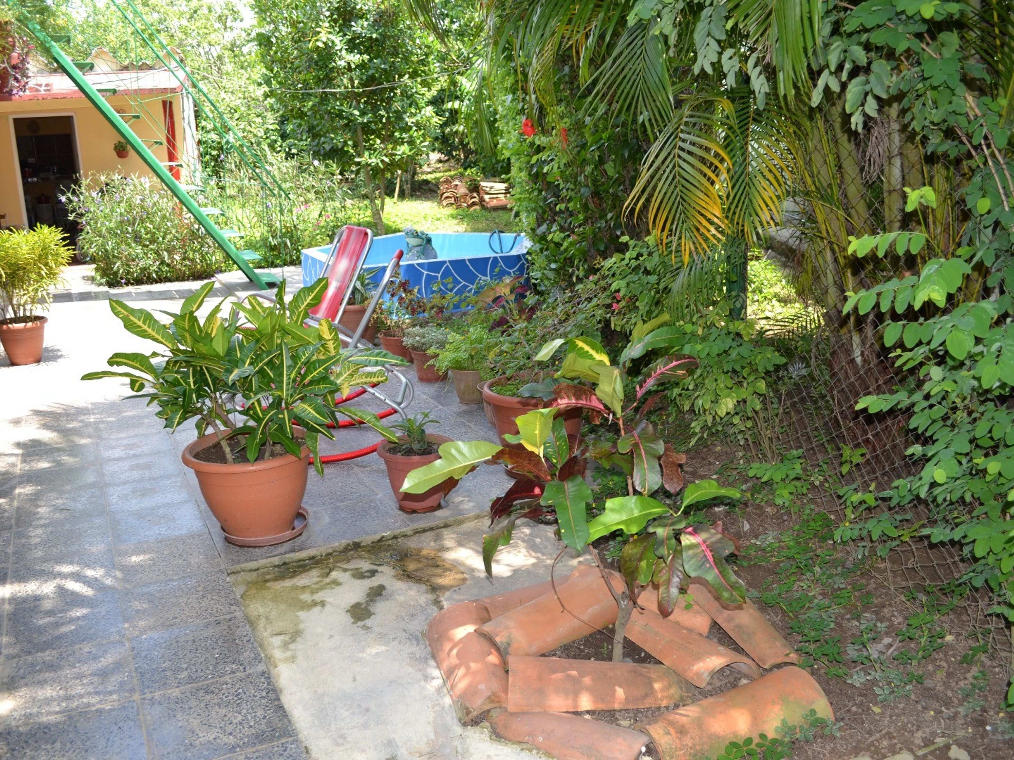 Casa El Campesino, Km 25, No. 173Inside patio view