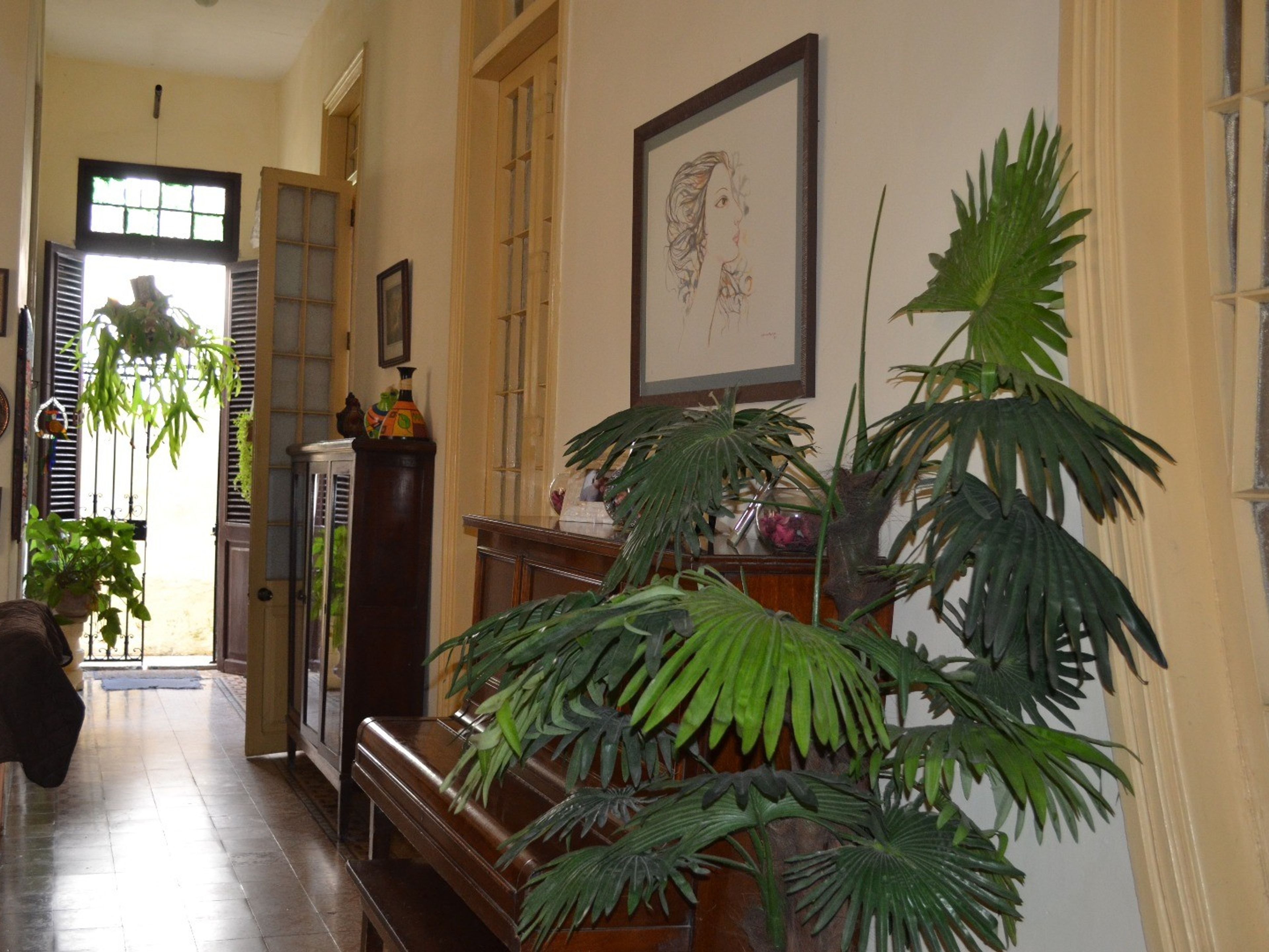 Casa de la Dra. Flora Roca, CALLE B, No. 705 - House inside view