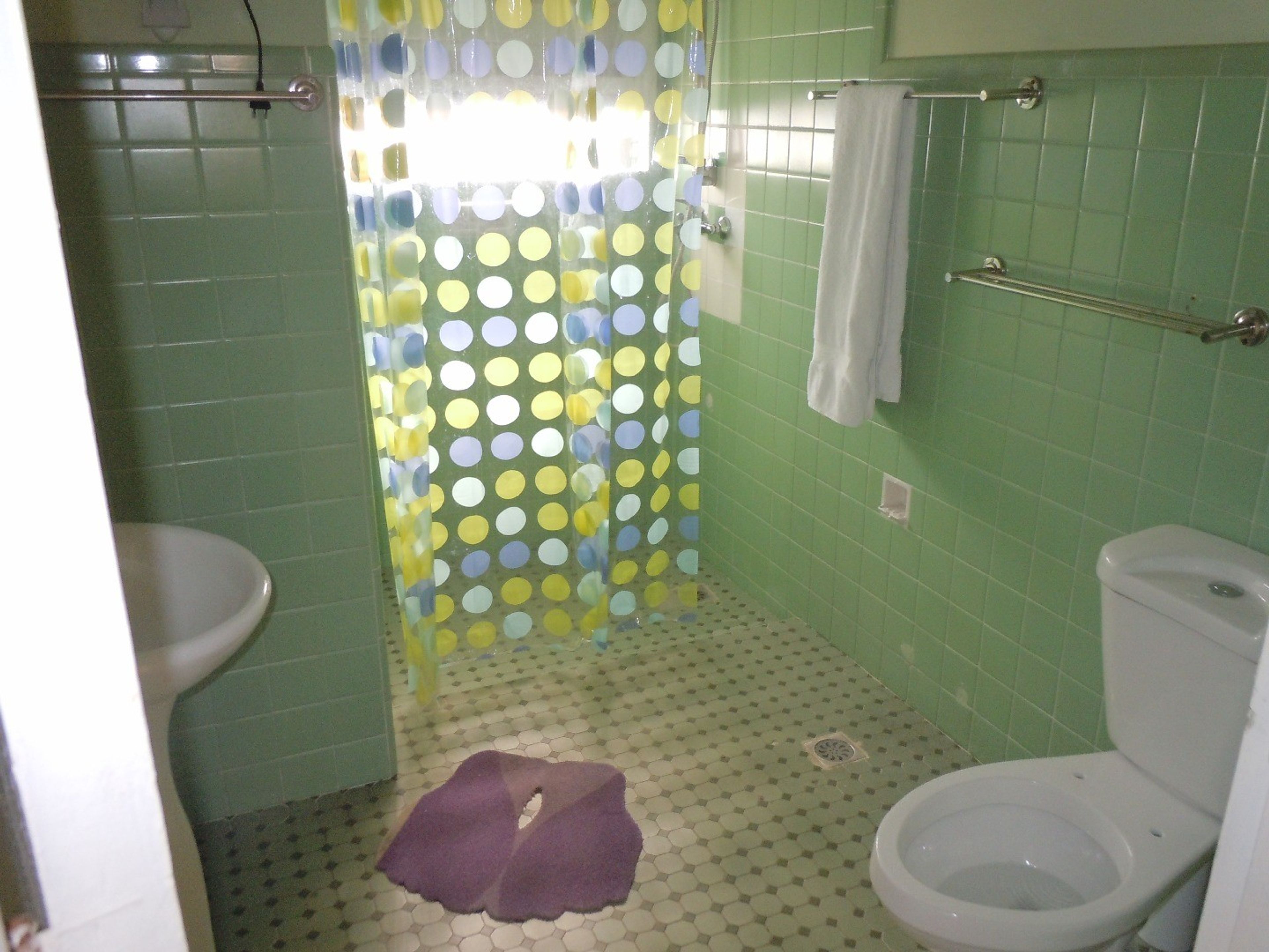 Дом Puma, CALLE 21, No. 15Bathroom's view