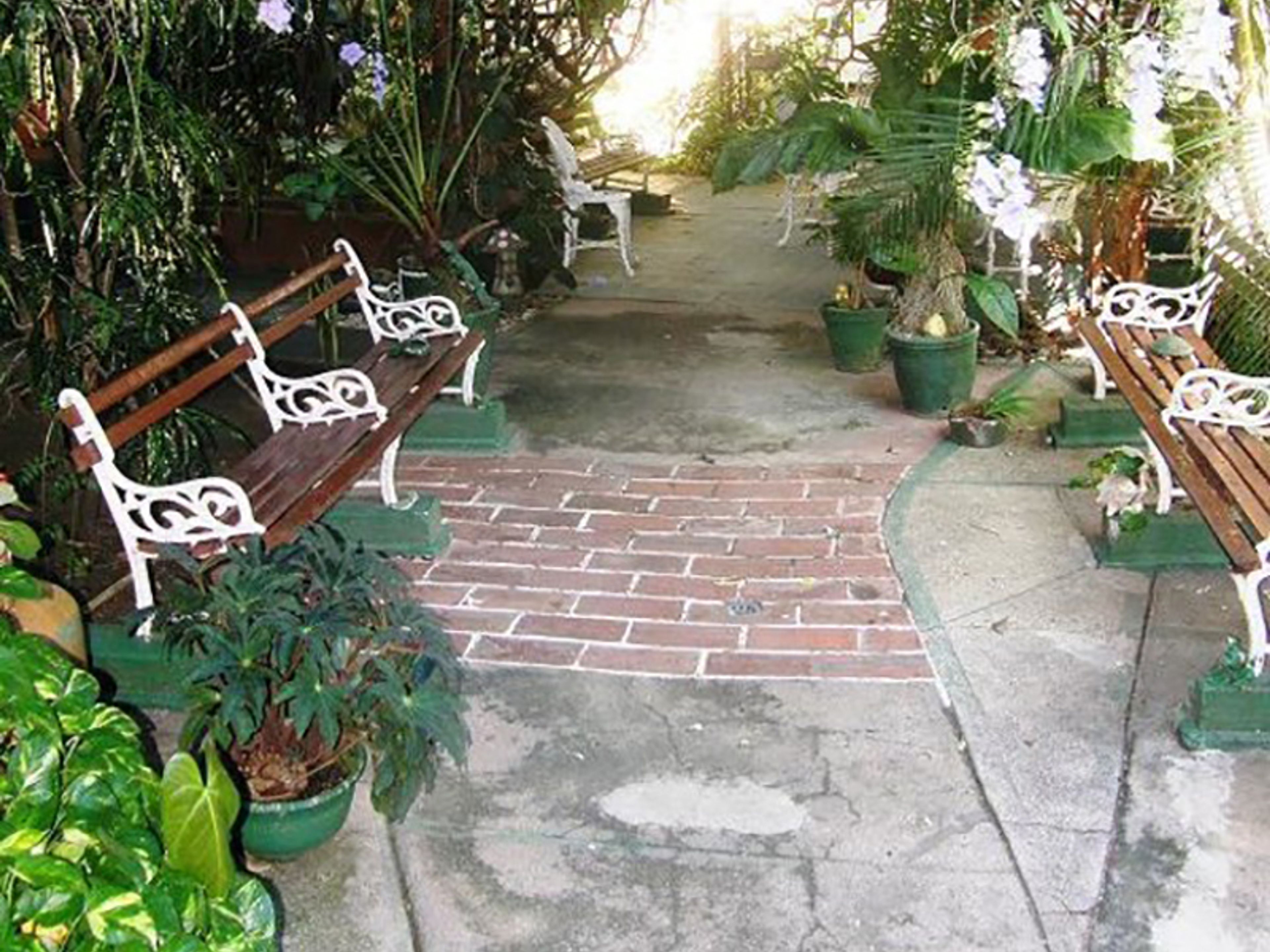 Hostal Consuelo y Nelson, INDEPENDECIA, No. 256House´s patio view