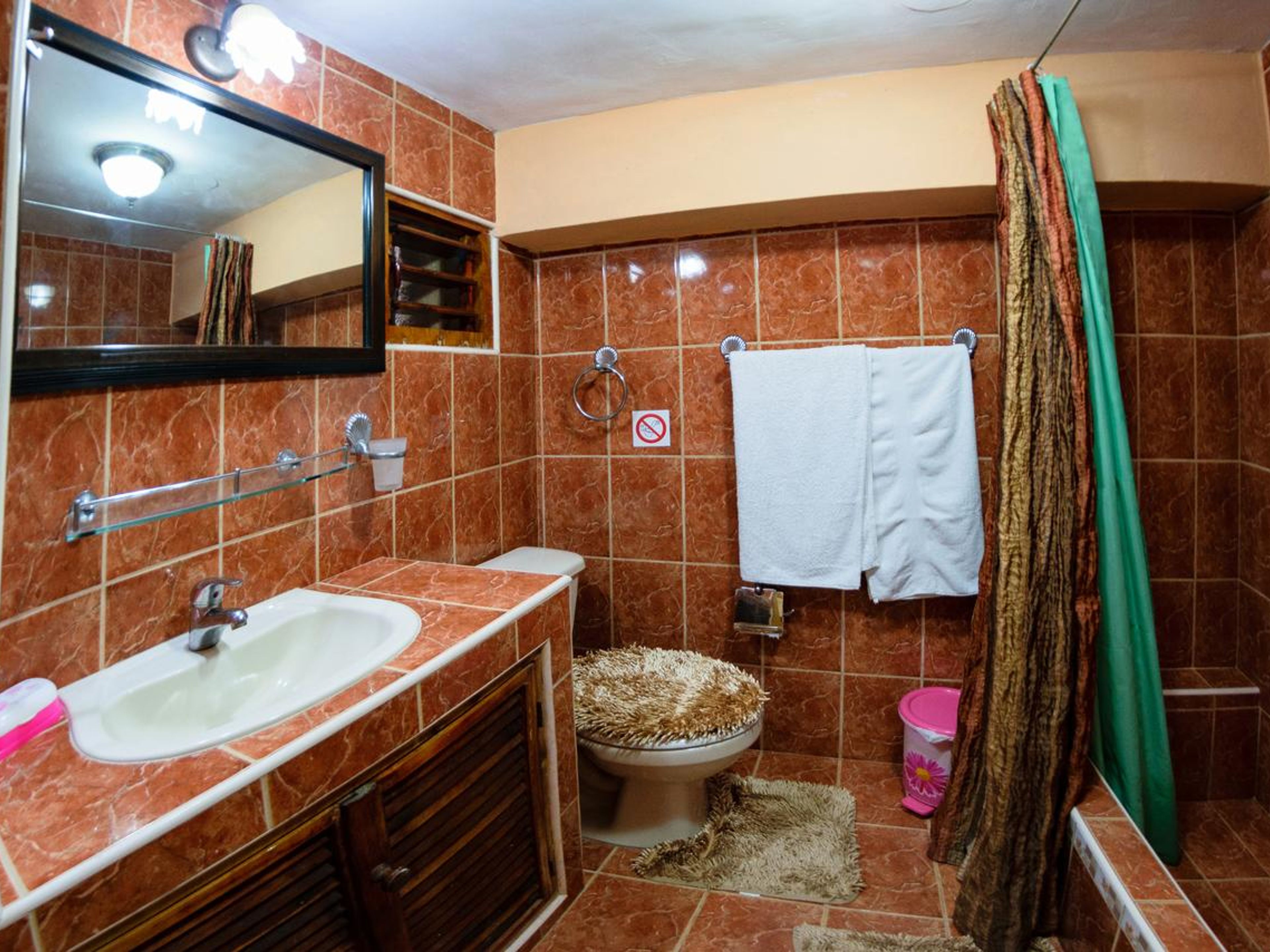 Casa Doña Elena, MERCADERES, No. 313 - Bathroom's 1 view