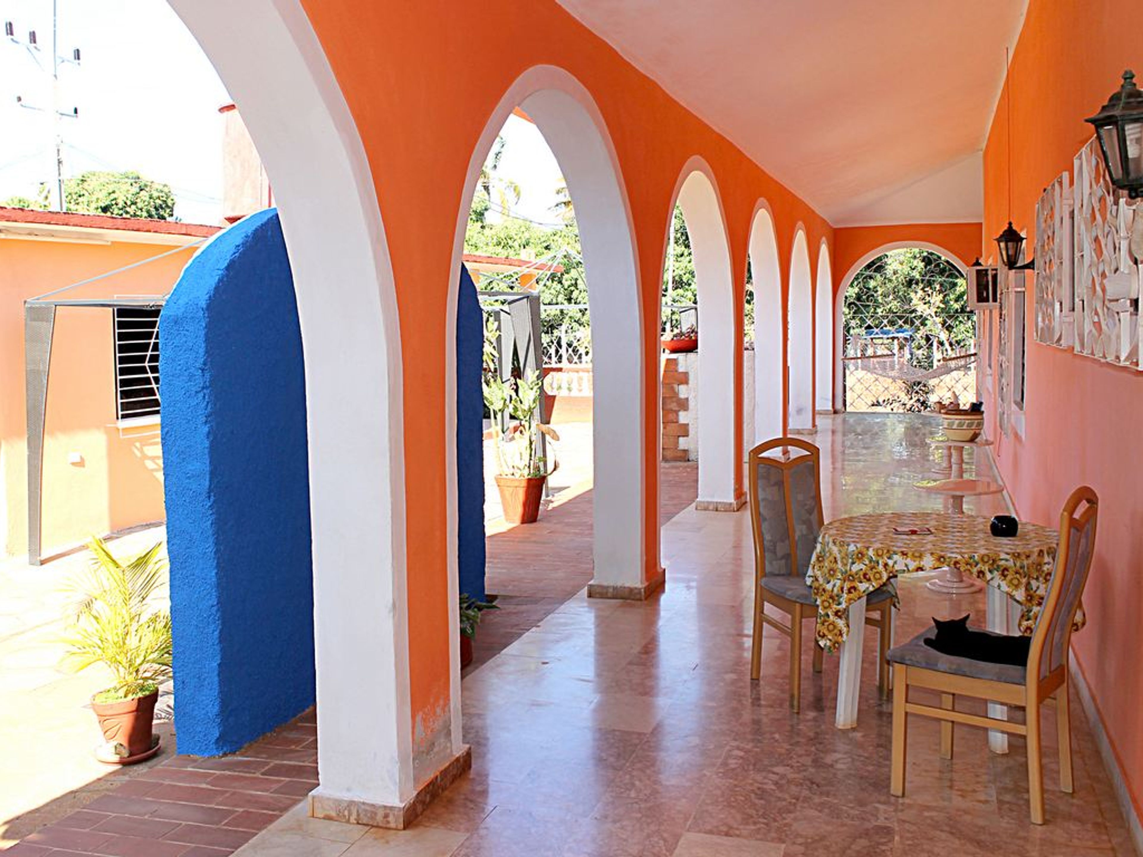 Hostal Mary Mar, RÍO CAÑAS, No. 95-AHouse's terrace view