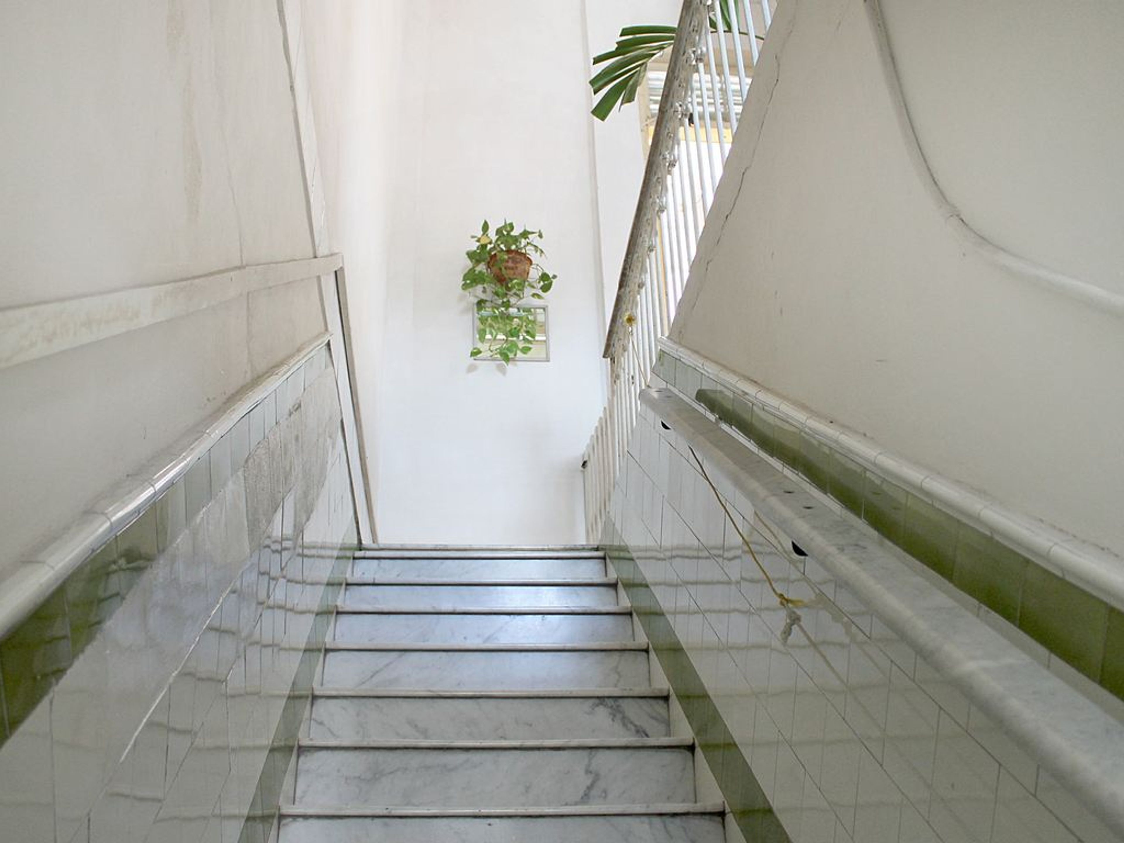 Hostal Elena, AVENIDA 54, No. 3913House's entrance view