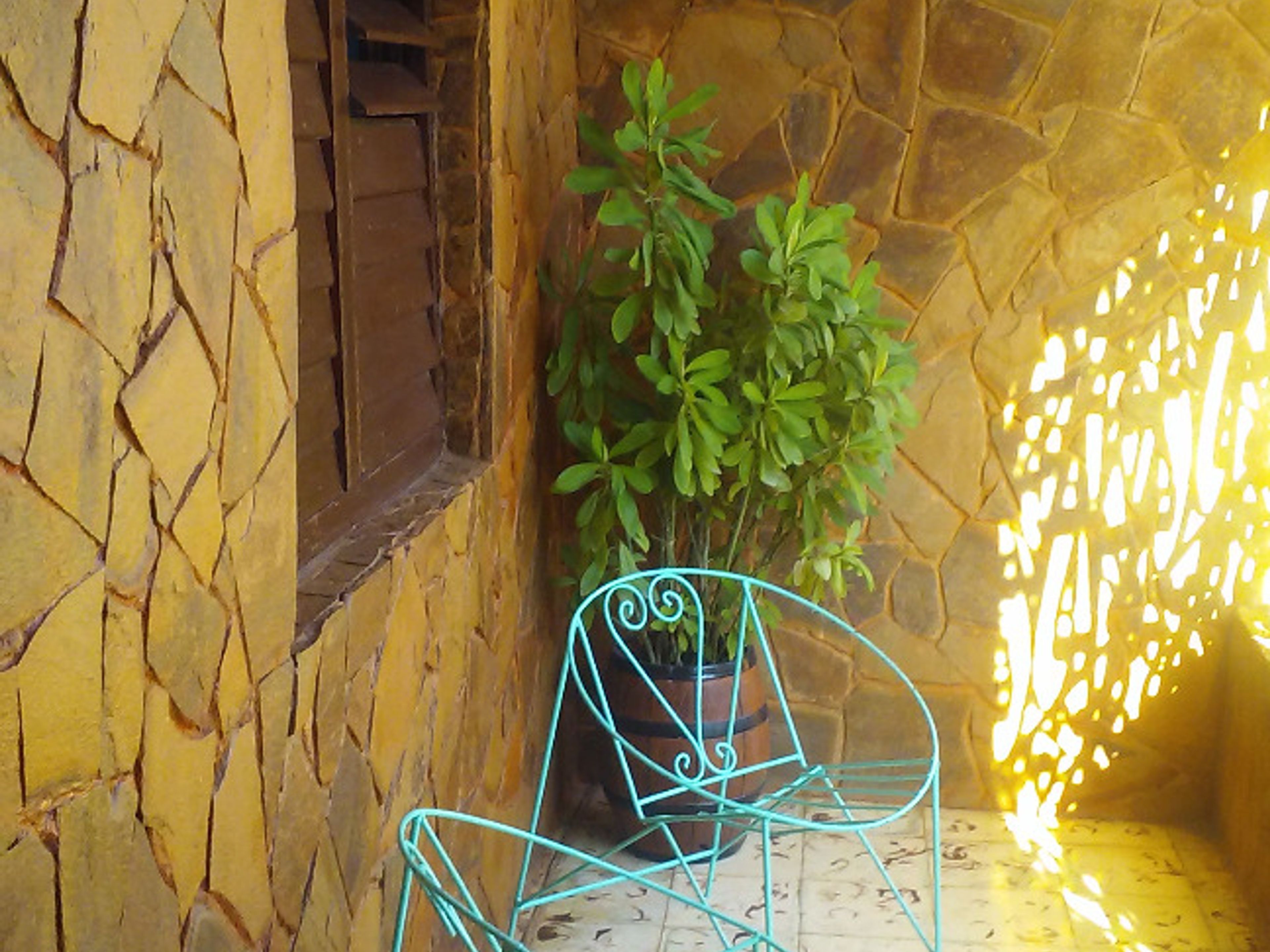 Hostal Mariposas 47 Clemente Pereira (Calle Cruz Verde) StreetsTerrace