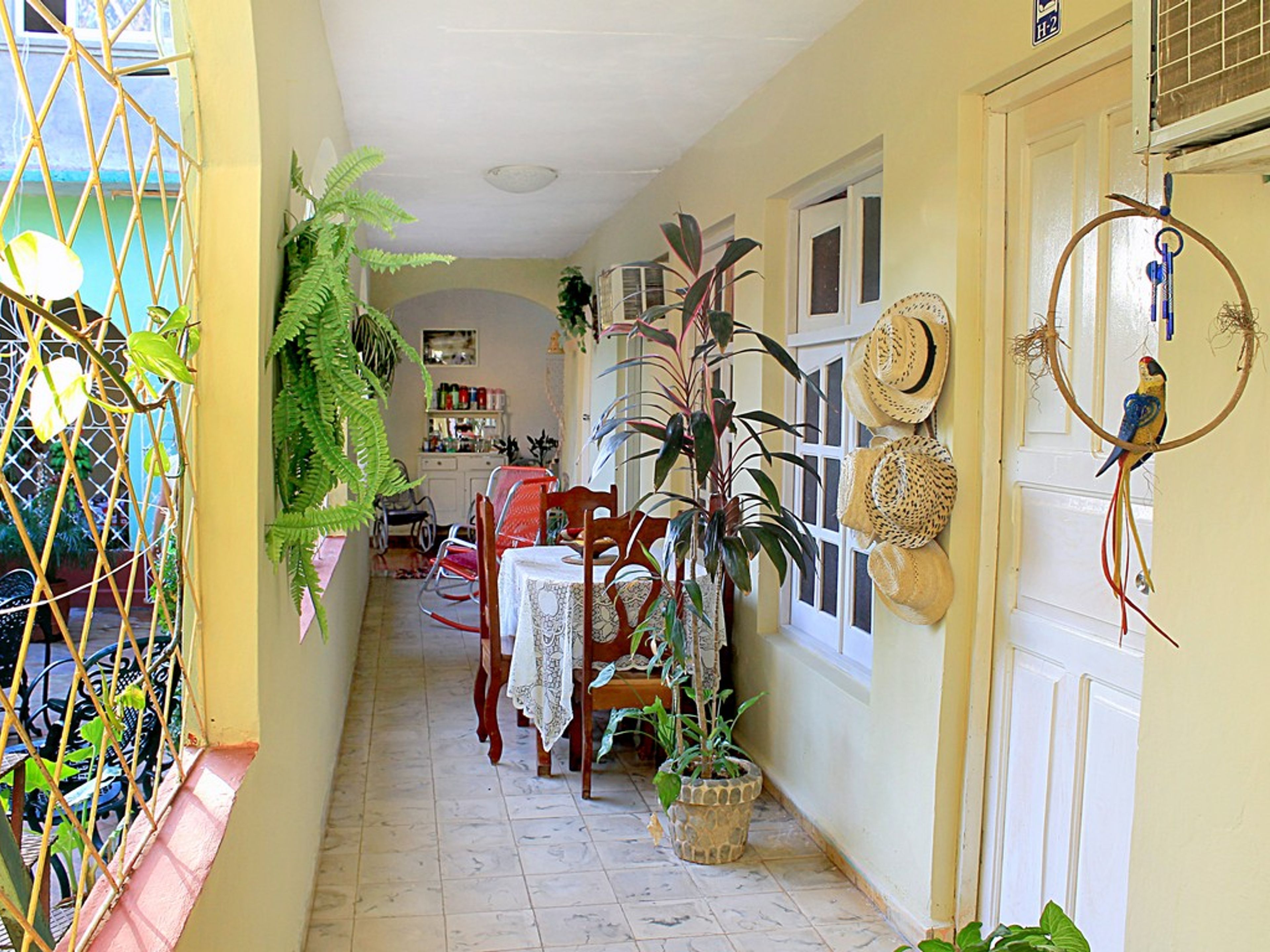 Hostal Georgina y Jose Ramon, AGUACATE, No. 605 - House´s details