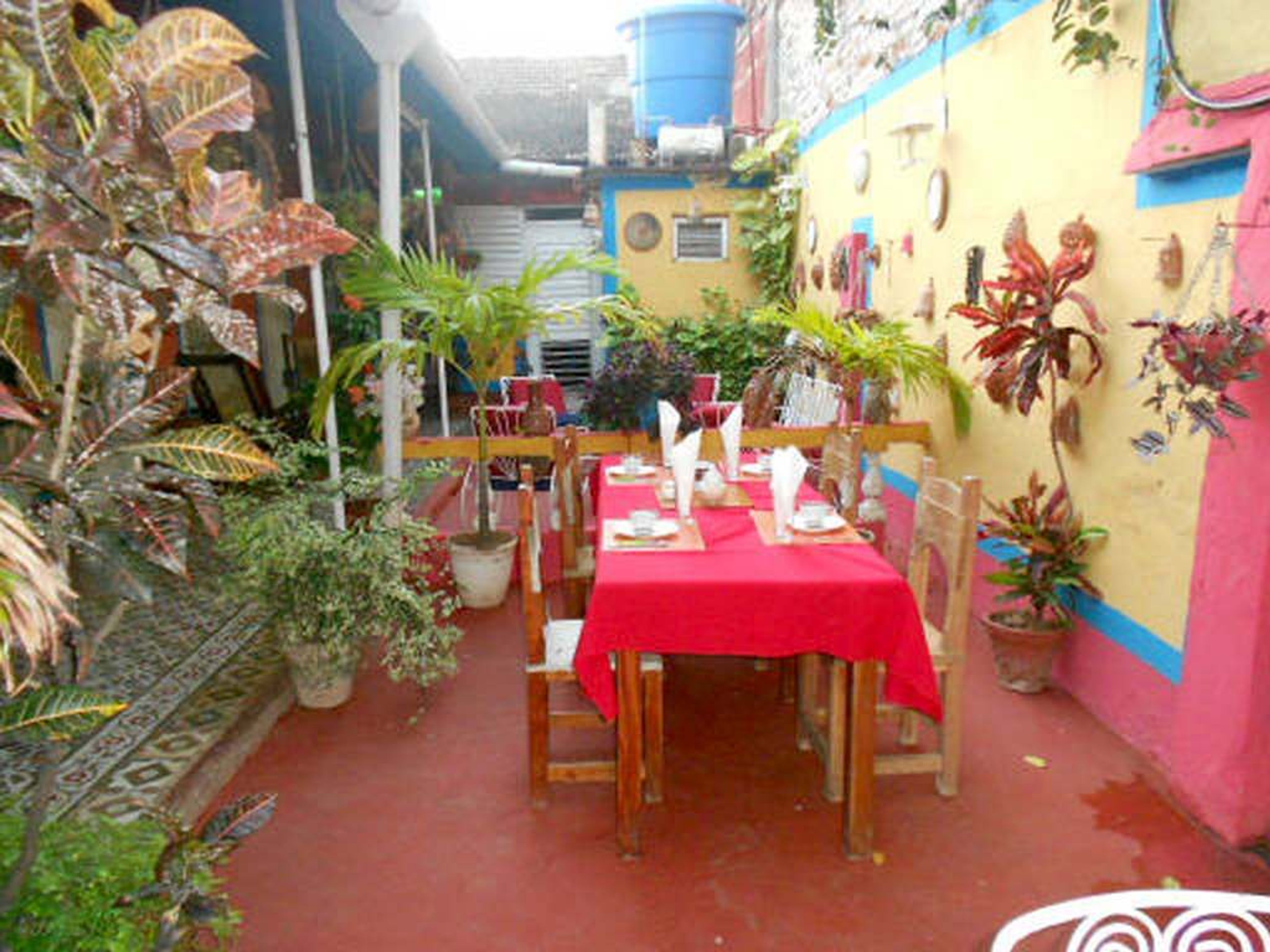 Hostal del Pino, LINO PÉREZ (San Proscopio) No.211House's inside patio view