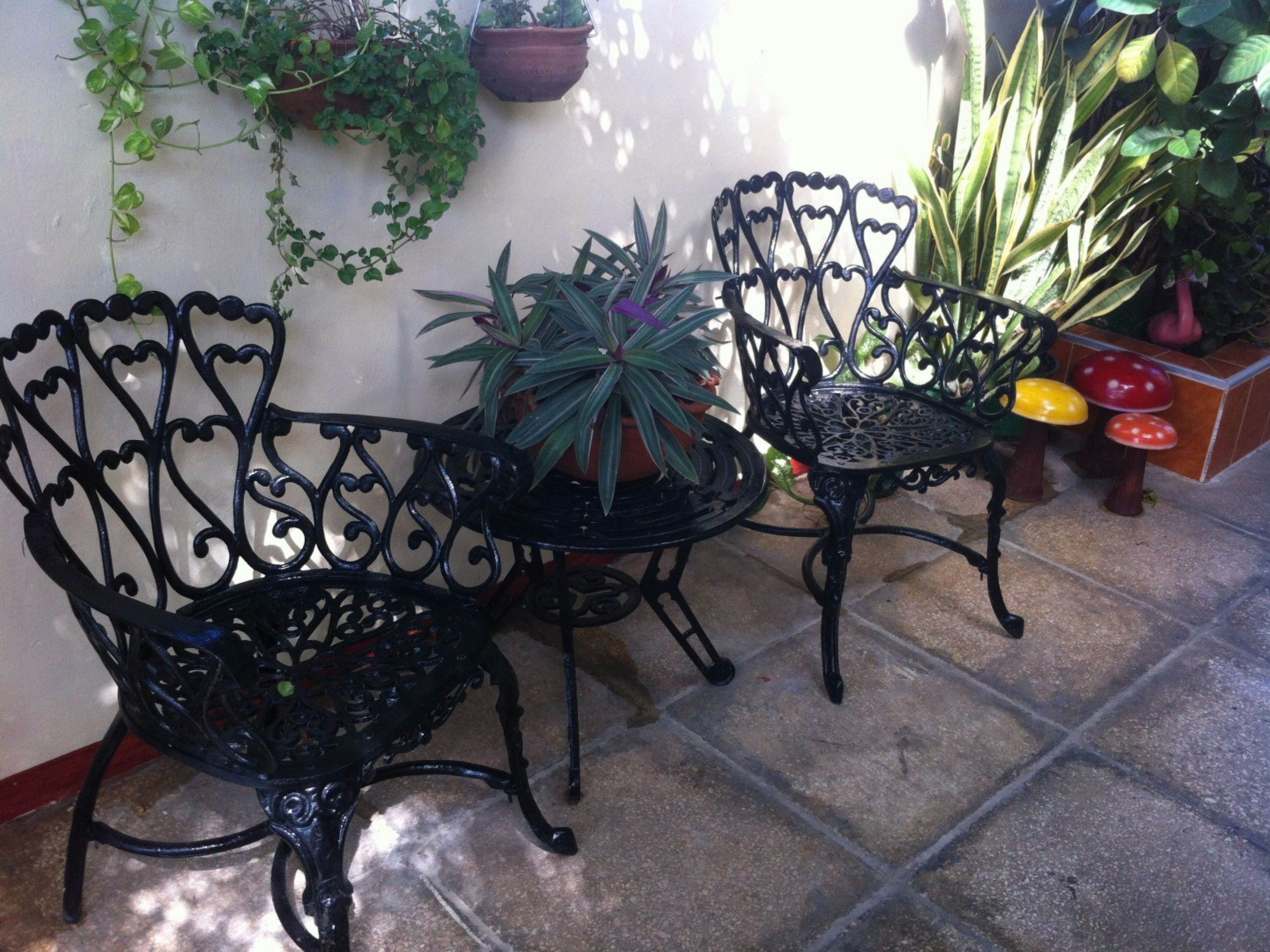 Hostal Selfa, CALLE 27, No. 105-AHouse's patio details