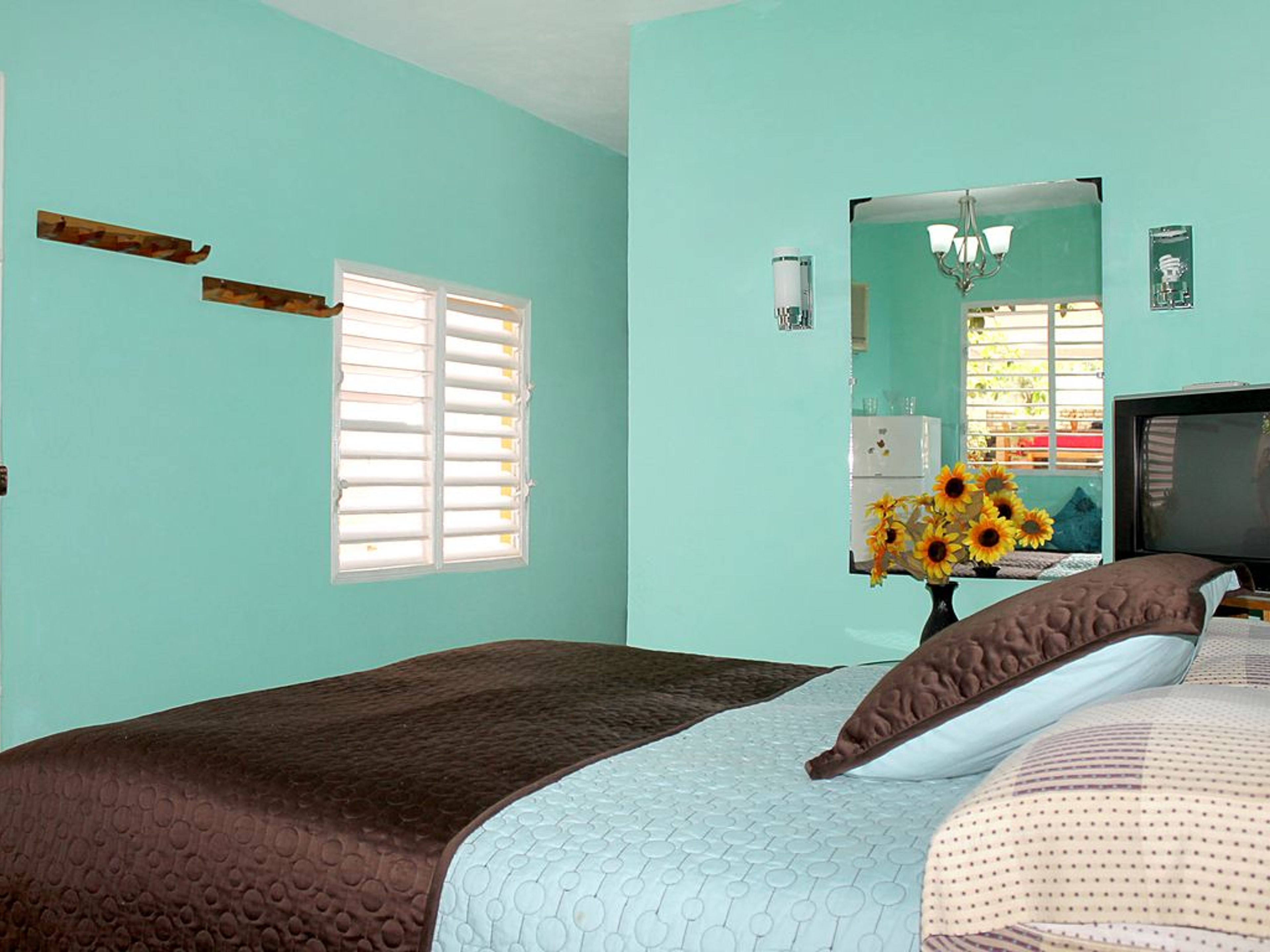 Hostal Flamingo, PEDRO ZERQUERA (Callejón del Aguacate), No.166Standard room