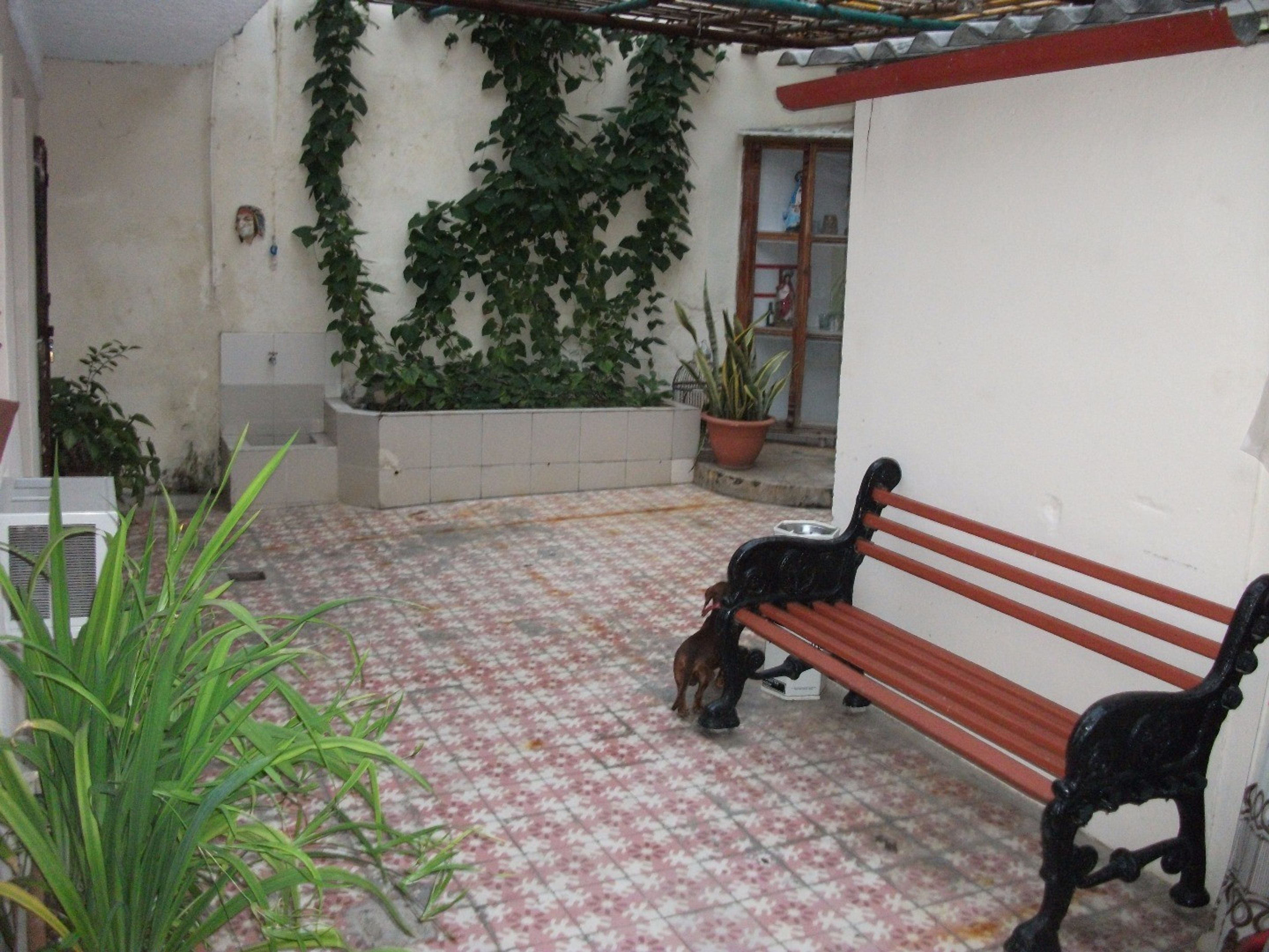 Casa Ana García, COLÓN, No. 106Inside patio view