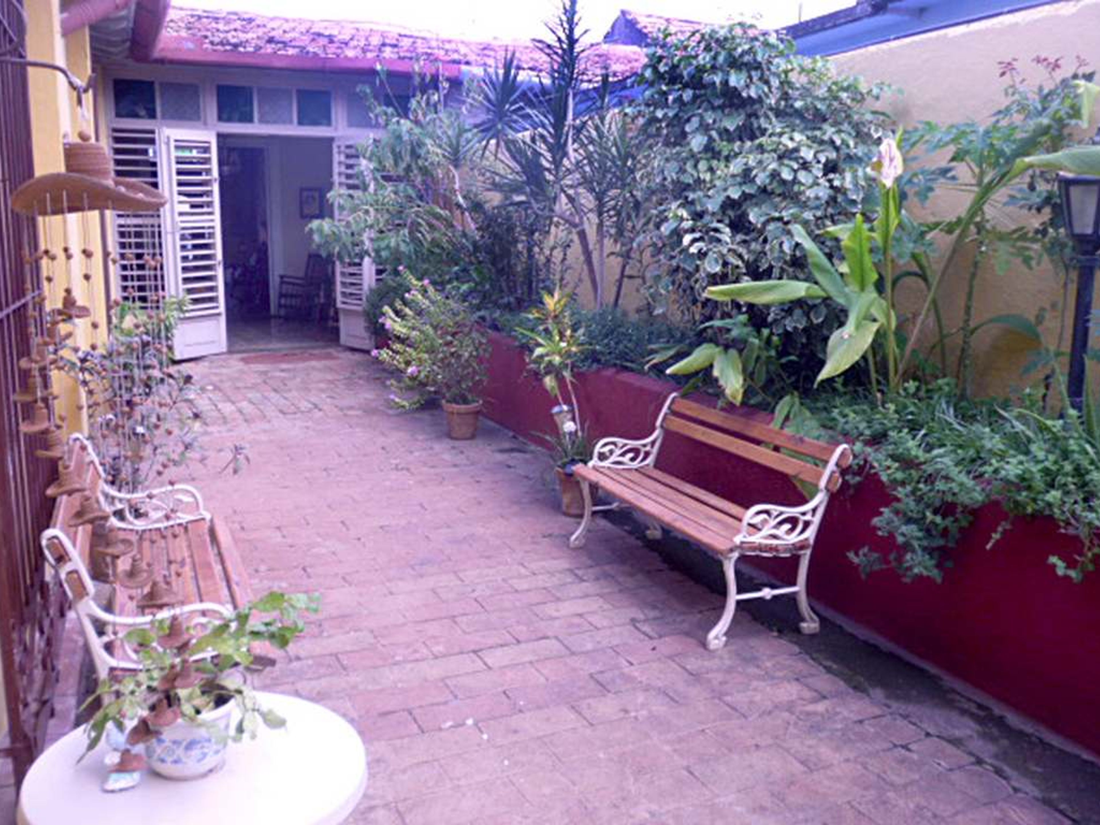 Casa Juani, JOSÉ MARTÍ (Jesús María) No.169House's indoor patio-garden view