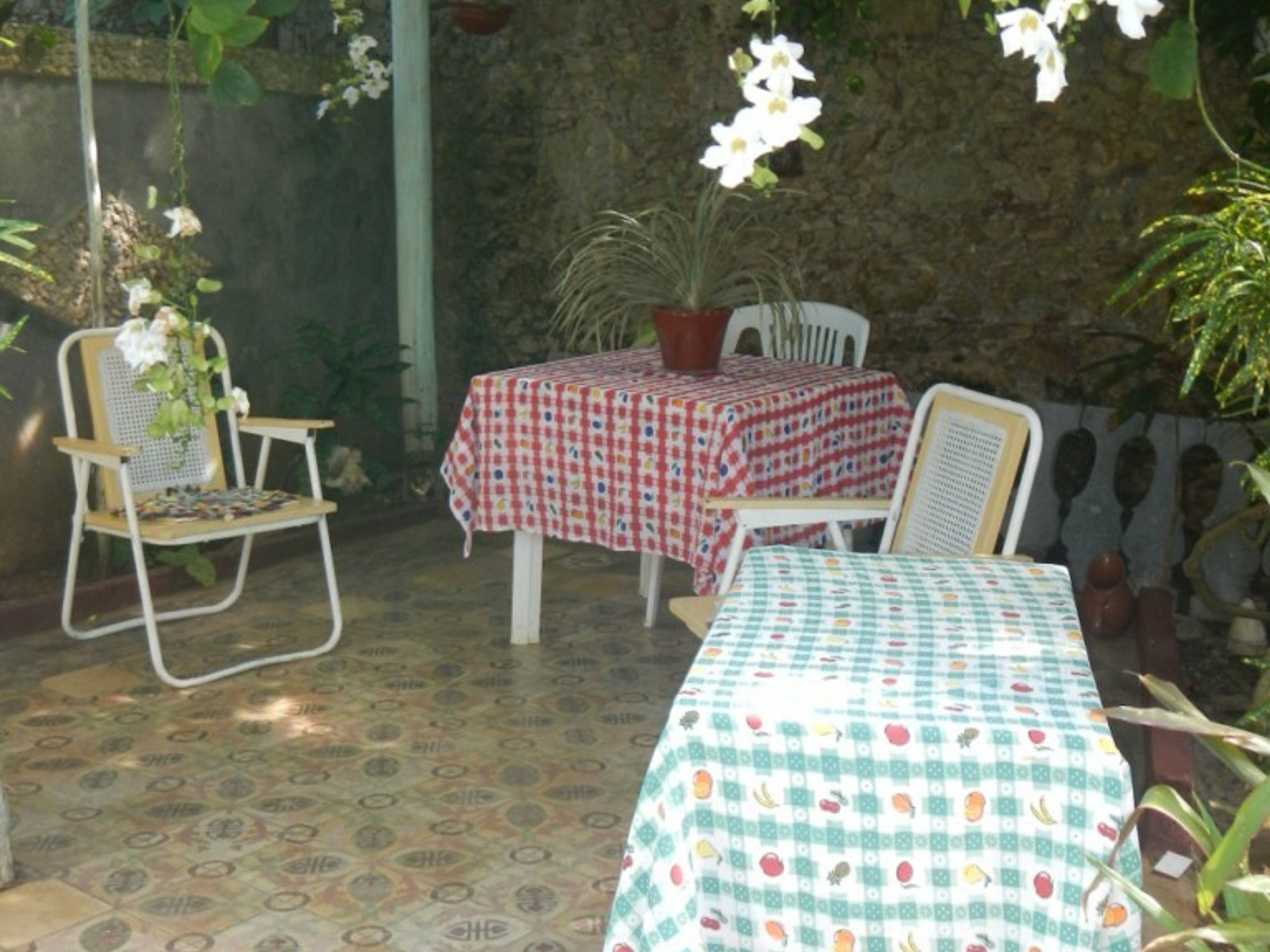 Casa Colonial Carmen Vernier, JOSÉ MARTÍ, No. 28Inside patio view