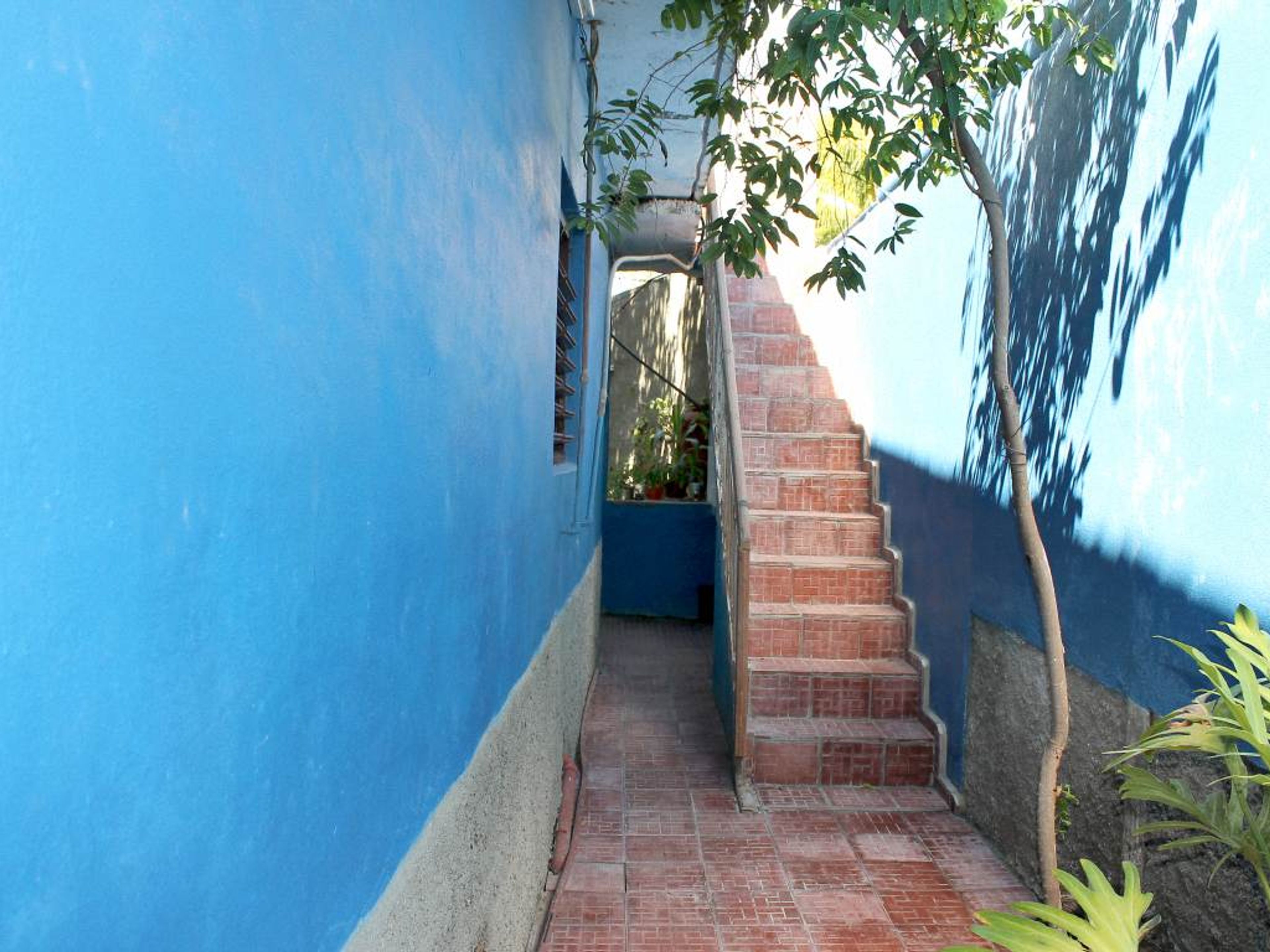 Hostal Cofiño, ANSELMO RODRÍGUEZ (Esmeralda), No. 293-AHouse's details