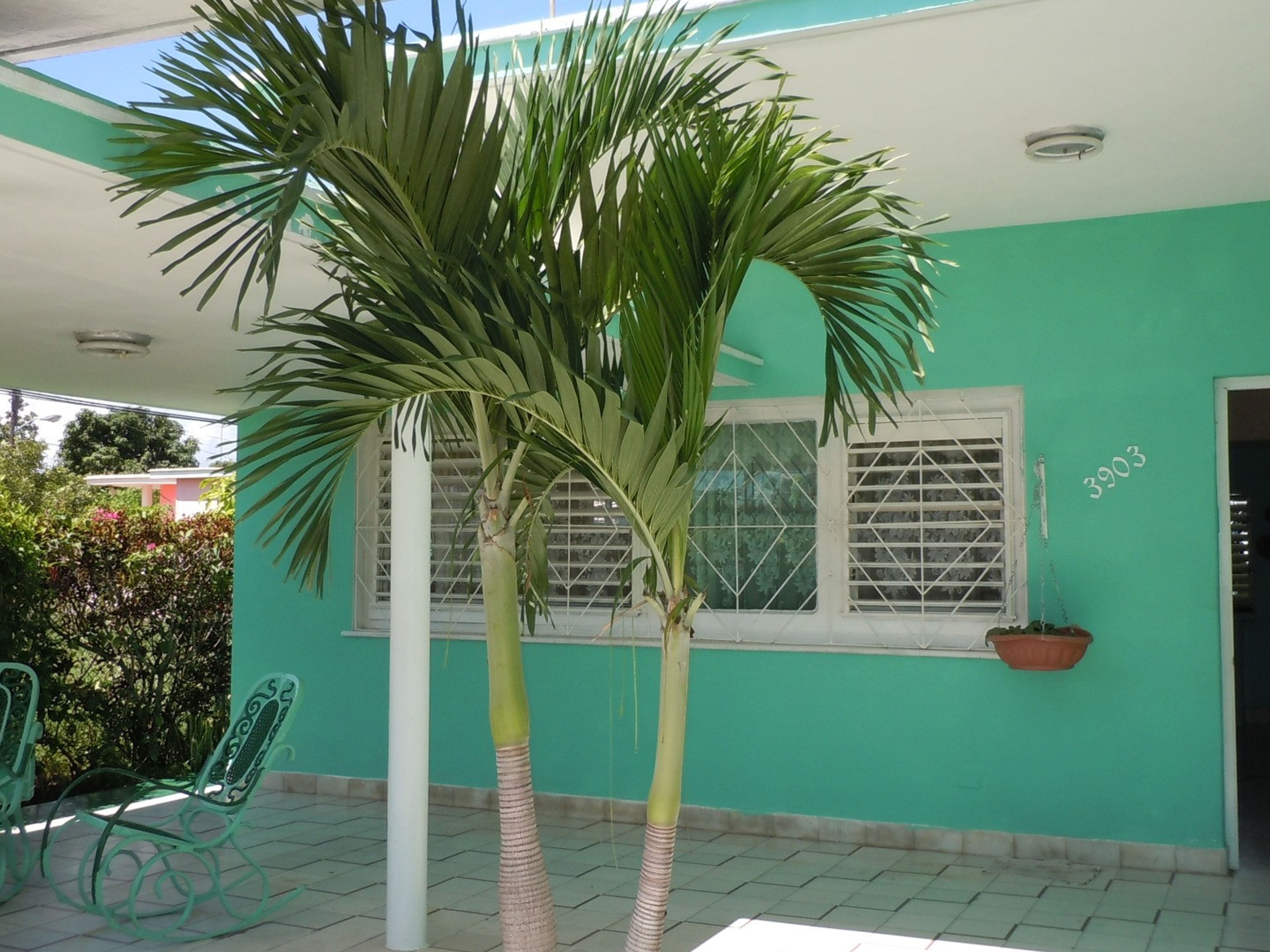 Casa Jorge y Alicia, AVENUE 10, No. 3903