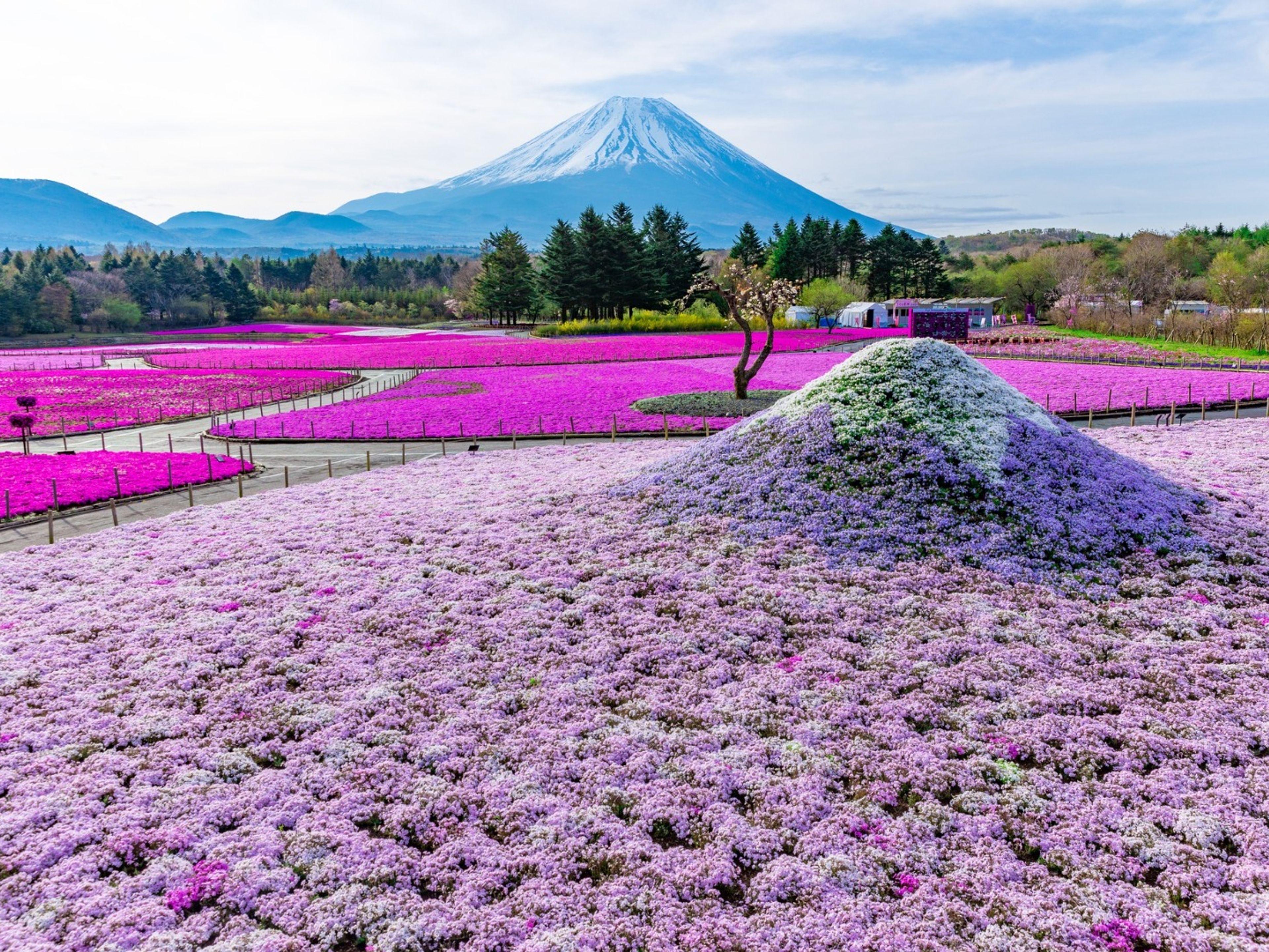 Mt Fuji panoramic view, Chūbu region (central part), Japan.