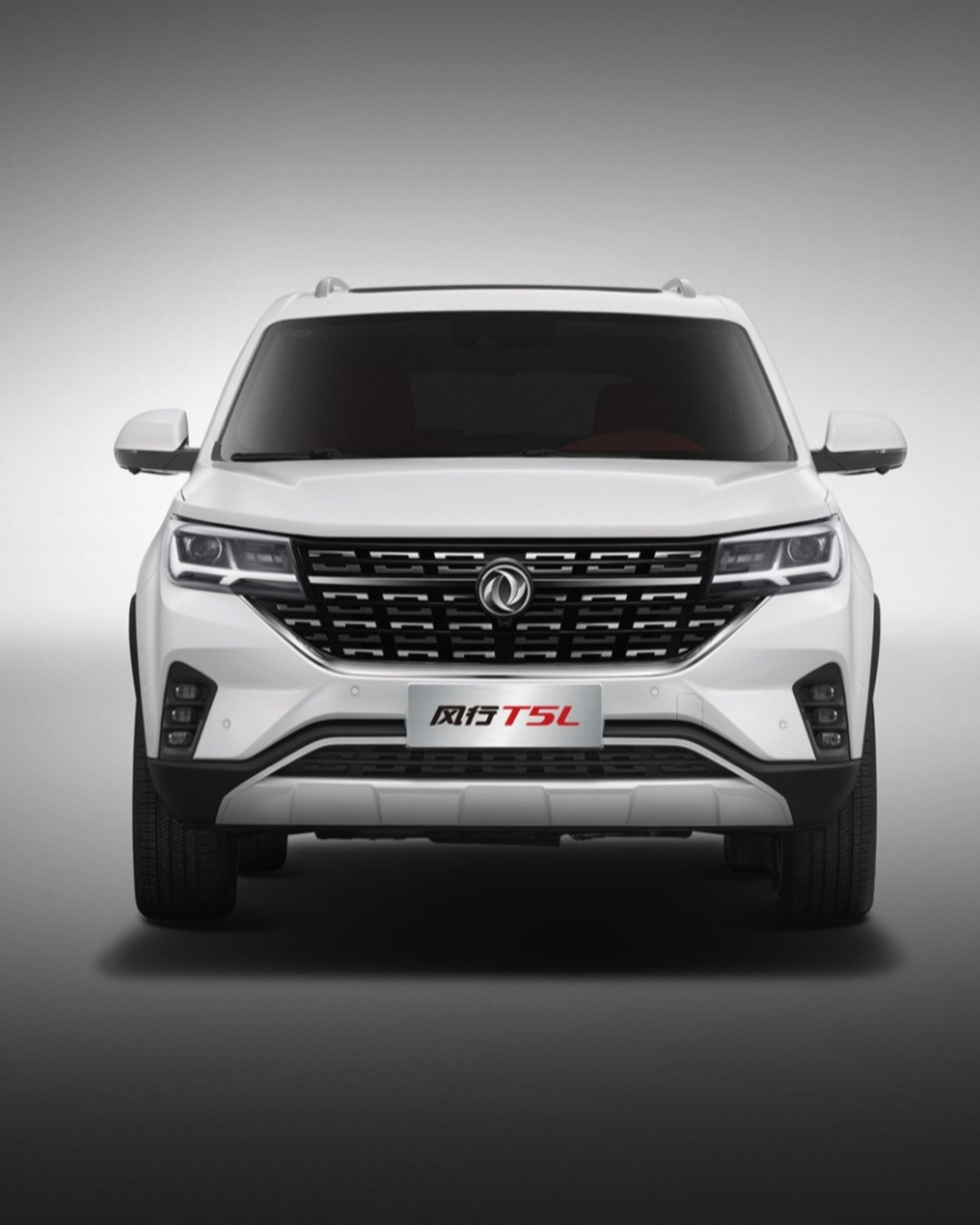 DONGFENG FORTHING T5L front exterior view