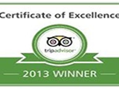 2013 Award