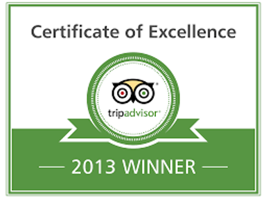 2013 Award