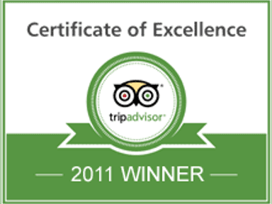 2011 Award