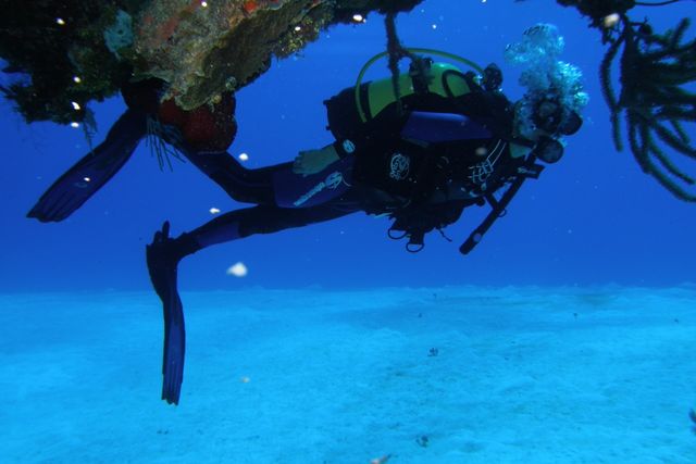 CUBA‘S UNDER WATER TREASURES Diving Tour