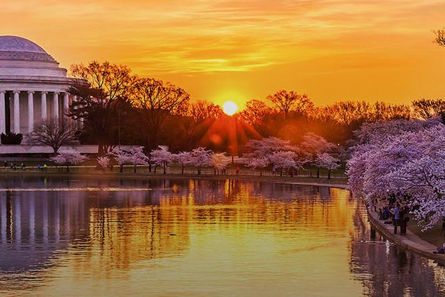 Thomas Jefferson monument panoramic view, WASHINGTON D.C., Washington state, United States of America.