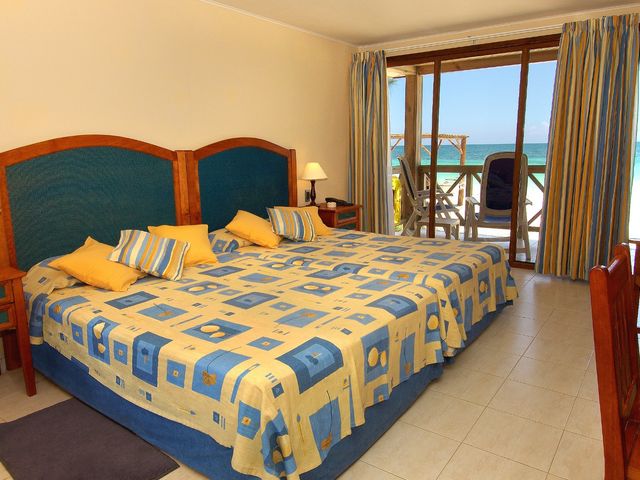 Camera STANDARD VISTA TROPICALE