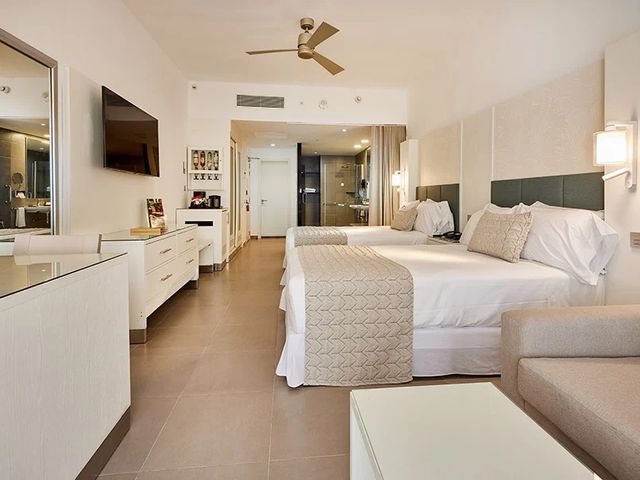 DELUXE JUNIOR SUITE Room
