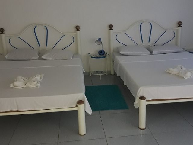 Quarto STANDARD