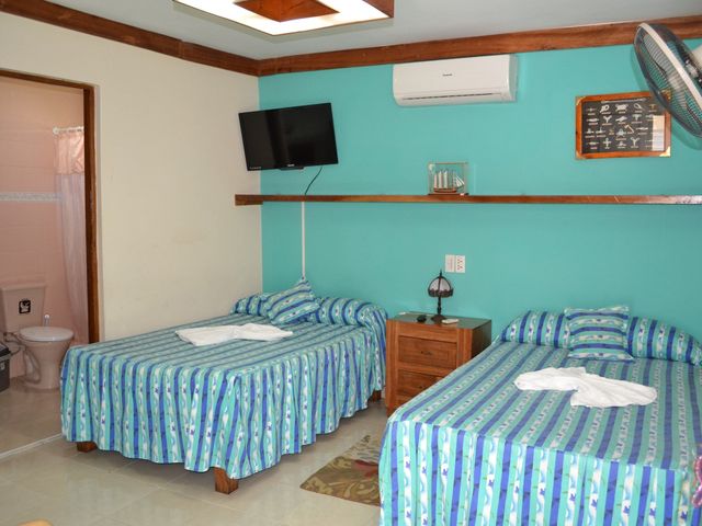 Quarto STANDARD