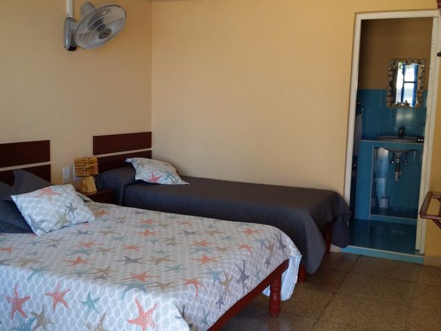 Номер STANDARD