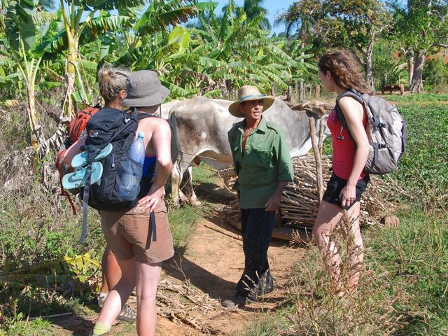 Cuban farmer tradition´s at countryside at Viñales Valley, Pinar del Río