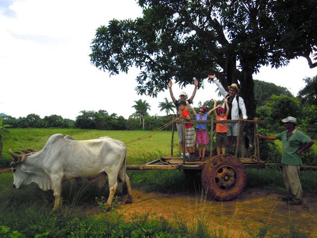 Cuban farmer tradition´s at countryside at Viñales Valley, Pinar del Río