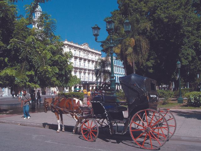 Canter by horse and cart through the streets of Old Havana