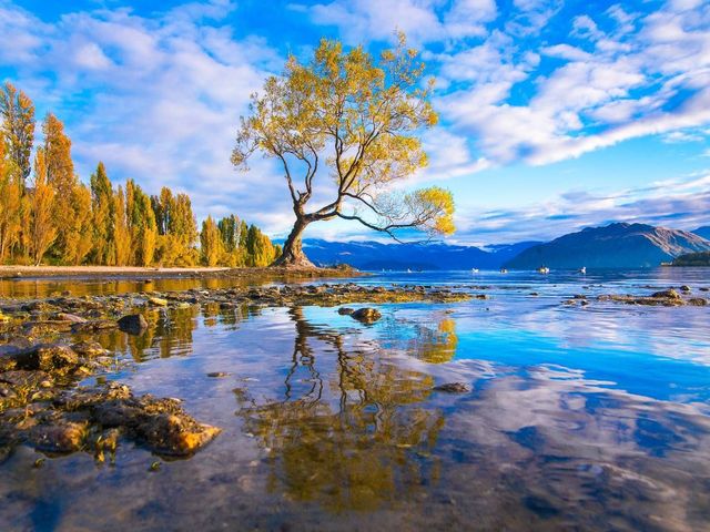 WANAKA - ARROWTOWN - QUEENSTOWN.