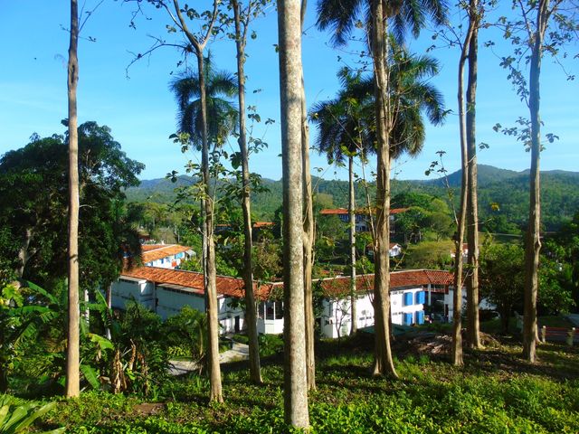Las Terrazas comunity panoramic view, Artemisa, Cuba.