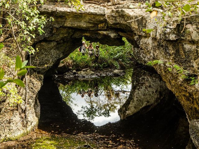 "Enigma of the Rocks" Trail, Ciénaga de Zapata National Park, Playa Girón, Matanzas, Cuba.