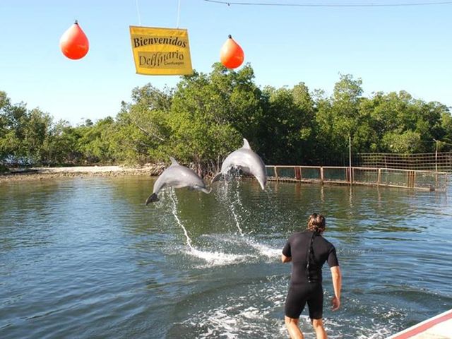 Dolphin show at Cienfuegos dolphinarium, Cienfuegos. WALKING TO THE CENTER Group Tour