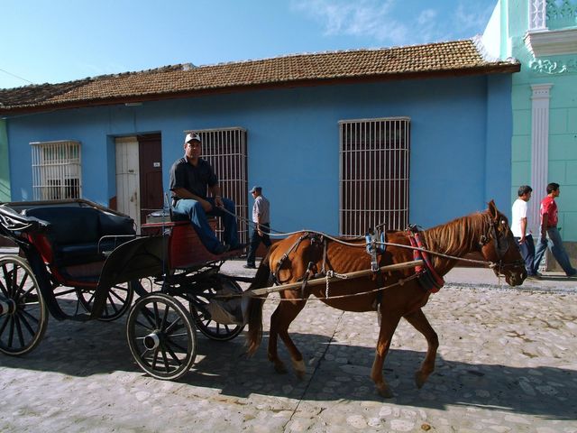 Canter by horse and cart through the streets of Trinidad