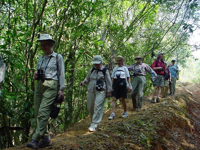 Trekking tour at Guanayara natural park, Topes de Collantes