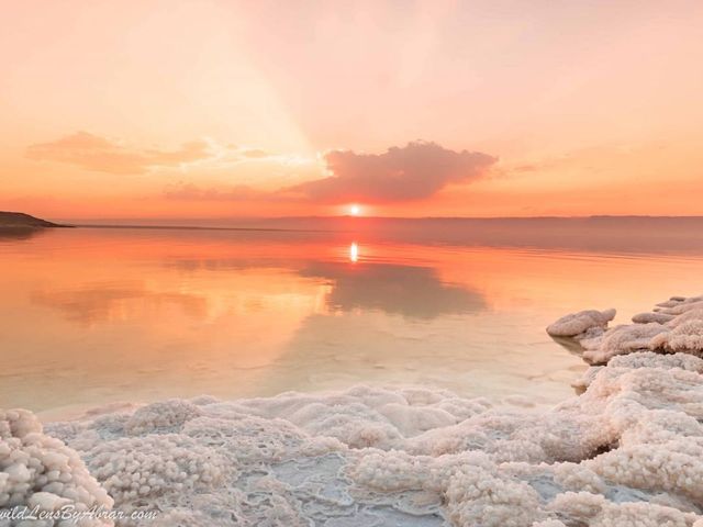 АММАН - БЕТАНИЯ - КОМПЛЕКС ПАНОРАМА - МЕРТВОЕ МОРЕ.