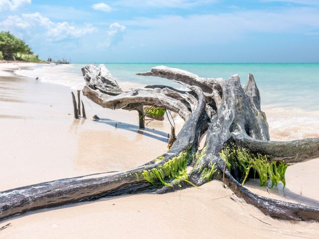 Cayo Jutías panoramic view, Pinar del Río, Cuba.