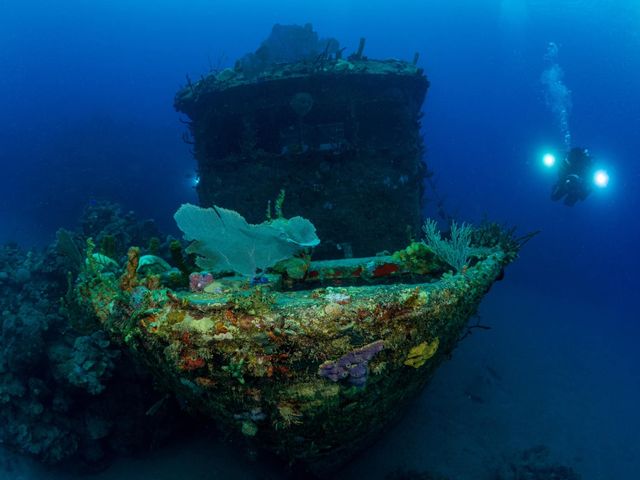 Scuba Diving in Faro Luna, Cienfuegos, Cuba.