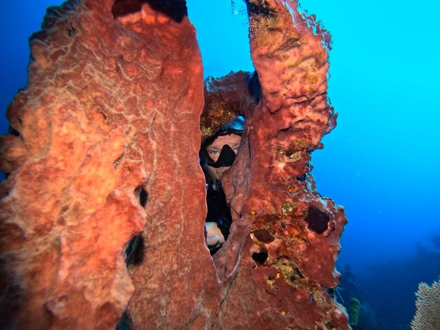 Scuba Diving in Faro Luna, Cienfuegos, Cuba.