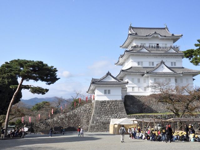 TOKYO - KAMAKURA - ENOSHIMA - ODAWARA - GORA.